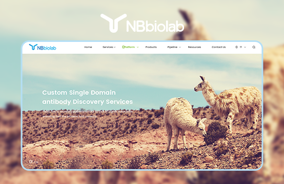 生物科技网站建设、品牌网站建设、响应式网站建设