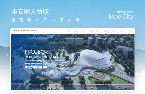 品牌官网、高端网站建设