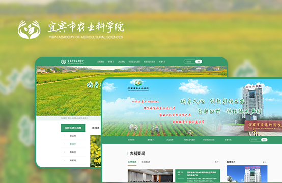 事业单位、品牌官网、定制网站